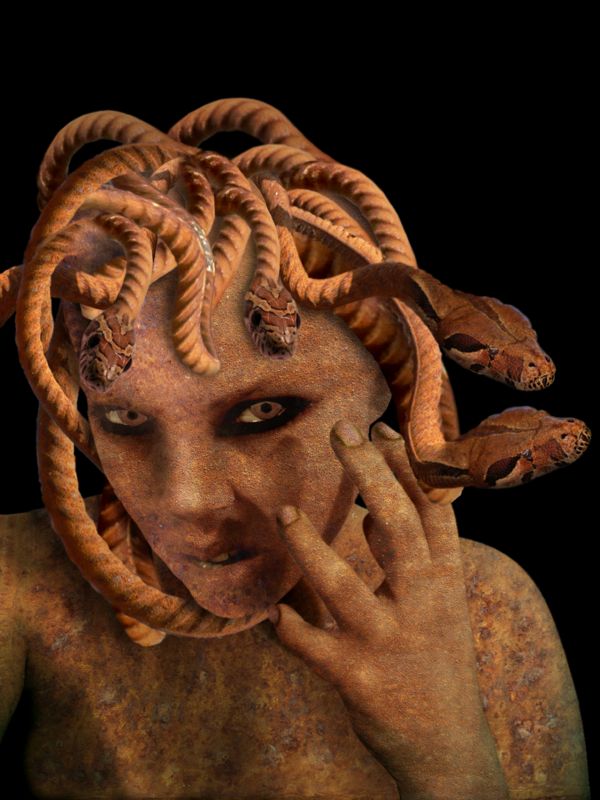 Creation of Medusa: Final Result